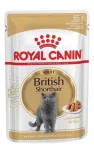 Royal Canin British Shorthair Adult m&auml;rgtoit kassidele, 85 g