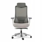 Kontoritool Kenoko TAKE, ergonoomiline, hall/kohviv&auml;rvi