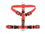 Koera rakmed EASY GUARD WALK NELSON-X, suurus L, sobivad Tellington TTouch meetodile