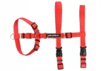 Koera rakmed EASY GUARD NELSON-X S