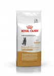 Royal Canin British Shorthair Adult kuivtoit kassidele, 13 kg