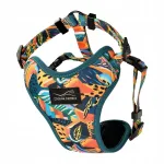 Koerte valjad Dolina Noteci Guard Comfort Tropical Adventure, suurus M
