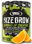 Kreatiin Real Pharm Size Grow 675 g lihasmassi ja j&otilde;u jaoks