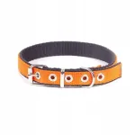 Koera kaelarihm DINGO Extra Energy, 2,0x50 cm, oranž