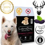Kuiv koeratoit LabraDog Superfood Hypoallergenic Deer Game 2 kg