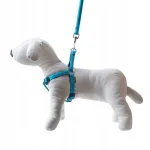 Happet pehme t&uuml;rkiissinine koerarihm, L, 2 cm