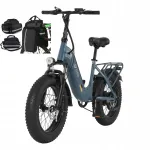 Elektrijalgratas DYU FF500, 20"x4.0, 48V 13.5Ah, 750W, kuni 45 km/h, sinine, korviga