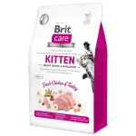 Brit Super Premium kuiv kassipoegade toit kalkuni- ja kanalihaga, 400 g