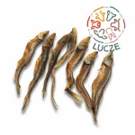 Kuivatatud koeramaiusad teadrekoha fileega, 100 g, 100% looduslik kala