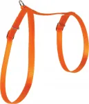 Kaelakaitse kassidele ZOLUX, nailon, 10 mm, oranž