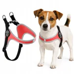 TRE PONTI Jack Russell koera rakmed, suurus M, 43-58 cm, punased, helkuritega