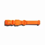 Zee Dog Neopro 2.0 L suuruses oranž koera kaelarihm