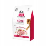 Kassidele m&otilde;eldud kuiv toit BRIT Care Grain-Free Activity Support, 400 g