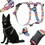 Koera valjad HUGGY DOGGY L, mitmev&auml;rvilised, r&otilde;huta mitte tekitavad