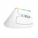 Ergonoomiline juhtmevaba vertikaalne hiir, 1600 DPI, RGB