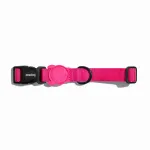 Zee Dog koera kaelarihm, roosa, LED-valgustusega, suurus S