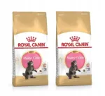ROYAL CANIN Maine Coon kassipoegade toit, 8 kg