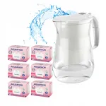 Veefilter kann Aquaphor Onyx 4,2 l + kuus Maxfor Mg filtrit