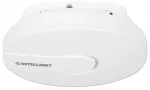 Juhtmevaba ligip&auml;&auml;supunkt Planet 525800, Wi-Fi 4 (802.11n/g/b)