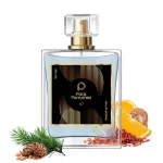 Meeste parf&uuml;&uuml;mid Paris Perfumes N&deg; 67 21% 104 ml, tsitruselise ja puiduse aroomiga