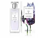Parf&uuml;&uuml;mitud vesi Allvernum Iris & Patchouli 50 ml