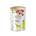 4Vets Natural Allergy kuivtoit koertele, 400 g
