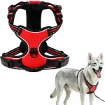 Koera rakmed GUARD DOG, reguleeritavad, surveta, helkuritega, suurus XL