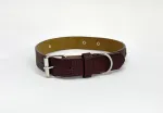 Nahast koera kaelarihm BUBU Panama, pruun, M suurus, 20 mm, 46 cm