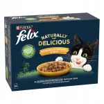 FELIX niiske kassitoit erinevate maitsetega, 0,8 kg