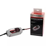 Aku laadija 6&ndash;12V AGM GEL TECHNI-POWER TP1000