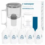 Wessper D2 borosilikaatklaasist 3 l hall veekann 11 filtriga