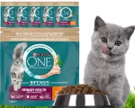 Kuiv kassitoit PURINA ONE kanaga, 6 x 1,4 kg, kuseelundite tervise jaoks