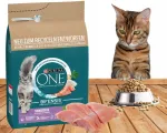 Kuiv kassitoit PURINA ONE Sensitive kalkunilihaga, 750 g