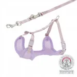 Trixie koera rakmed koos rihmaga, 26&ndash;34 cm, 10 mm, noortele koertele