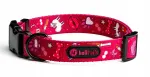 Suur reguleeritav ja kerge koera kaelarihm Champagne Kiss, 38&ndash;65 cm x 3 cm