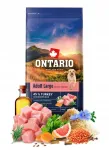 Kuivtoit suurtele t&otilde;ugudele ONTARIO kalkunilihaga kehakaalu kontrolliks, 12 kg