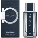 Meeste tualettvesi Salvatore Ferragamo Ferragamo 100 ml EDT