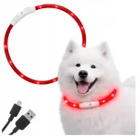 Koera LED-kaelarihm, punane, reguleeritav, veekindel, USB-laadimine