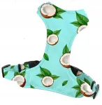 V&auml;ikeste koerte COCONUTS rakmed, 2 cm, XS