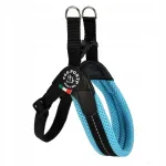Prantsuse buldogi rakmed TRE PONTI, sinised, suurus 3,5