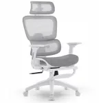 Ergonomiline kontoritool Delagear M Pro 750, hall-valge