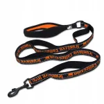 Koera rihm TRUELOVE Funky Orange, suurus S