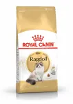 Royal Canin Ragdoll Adult kuiv kassitoit 10 kg