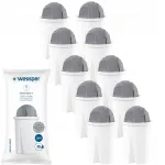 Wessper Protect veefiltri kassettide komplekt sobib Aquaphor/Dafi kannudele, 10 tk kareveele