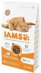 Kuivtoit t&auml;iskasvanud kassidele IAMS Cat Adult Chicken 3 kg