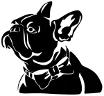 Auto kleebis &bdquo;French Bulldog&ldquo; paelaga, 12 x 13 cm