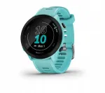 Garmin Forerunner 55 nutikell 42 mm GPS, sinine