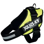 Koerte rakmed Julius-K9 IDC, suurus L, 63-85 cm, neoonkollased