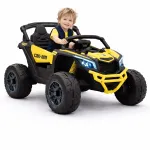 Laste elektriauto CAN AM MAVERIC 24V 4x4 800W lisakuue aku