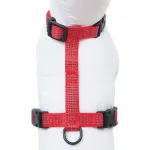 Koera rakmed HAVE A PET Comfort Reflex, punane, suurus XXS
